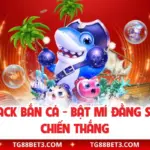 Tool Hack Bắn Cá - Bật Mí Đằng Sau Các Chiến Thắng